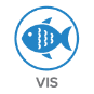Vis